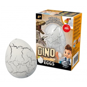 Magiczne jajo dinozaura - Buki,