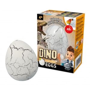 Magiczne jajo dinozaura - Buki